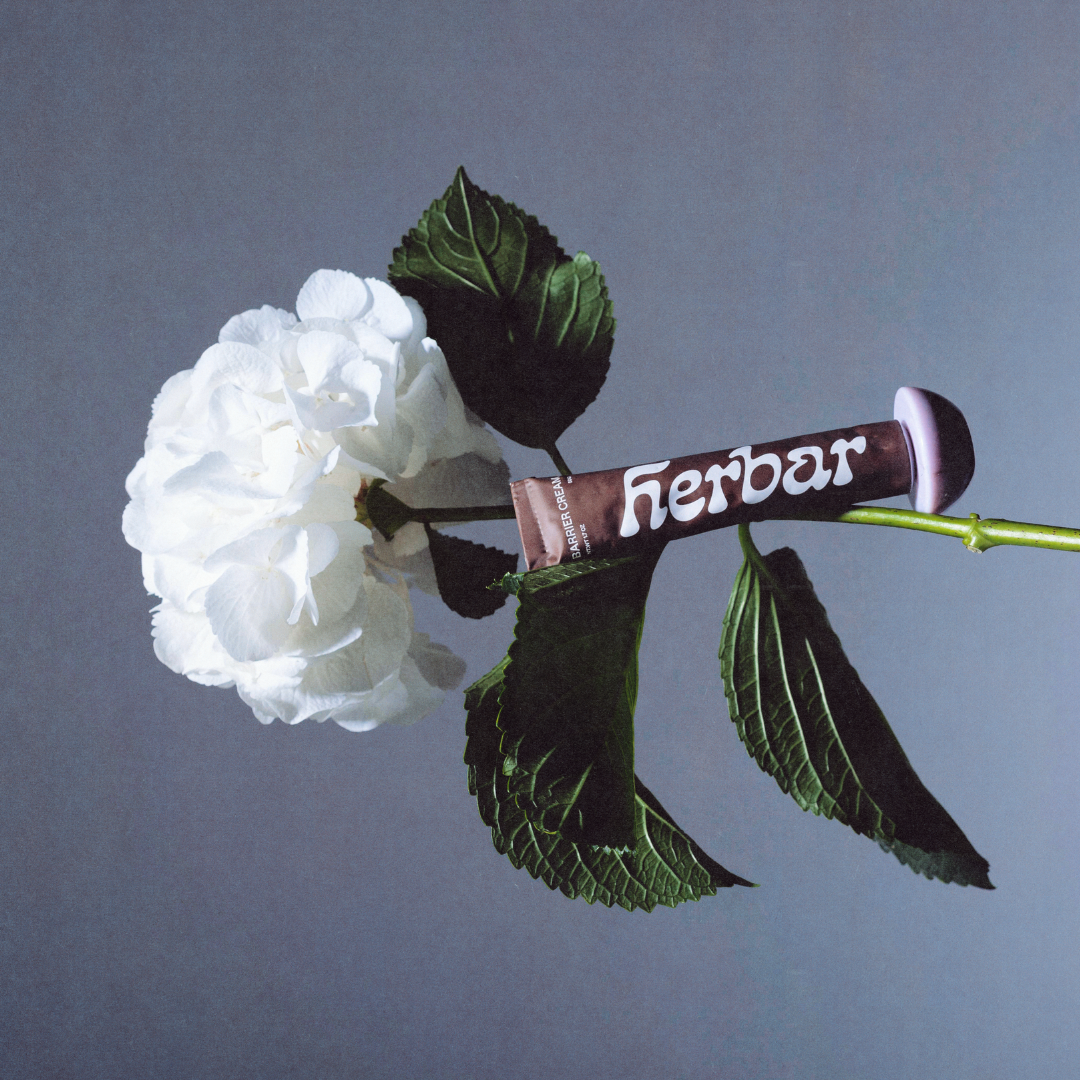 The Barrier Cream - NEW