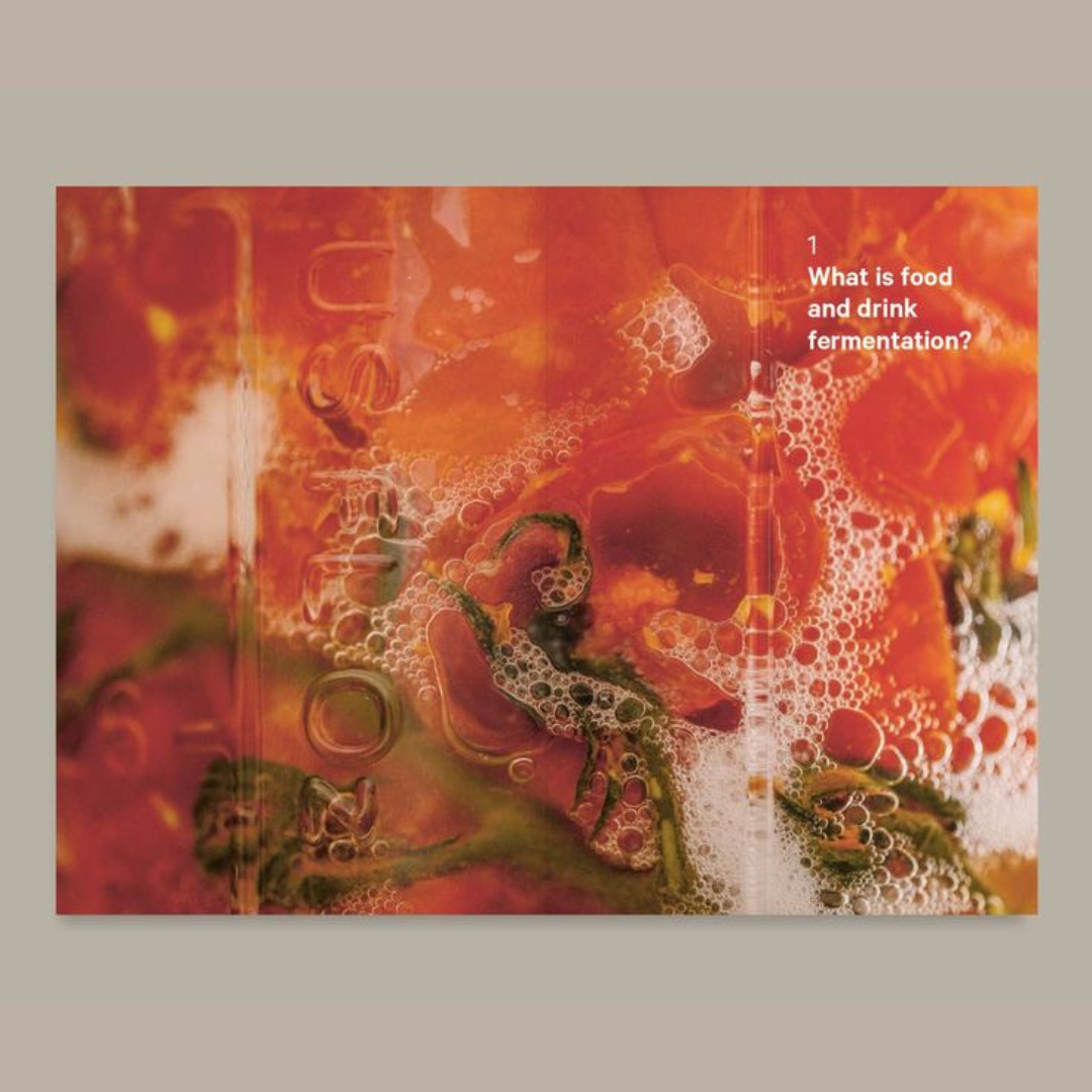Do Ferment Book - NEW