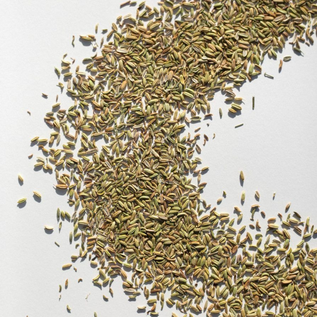 Fragrant Fennel Seeds