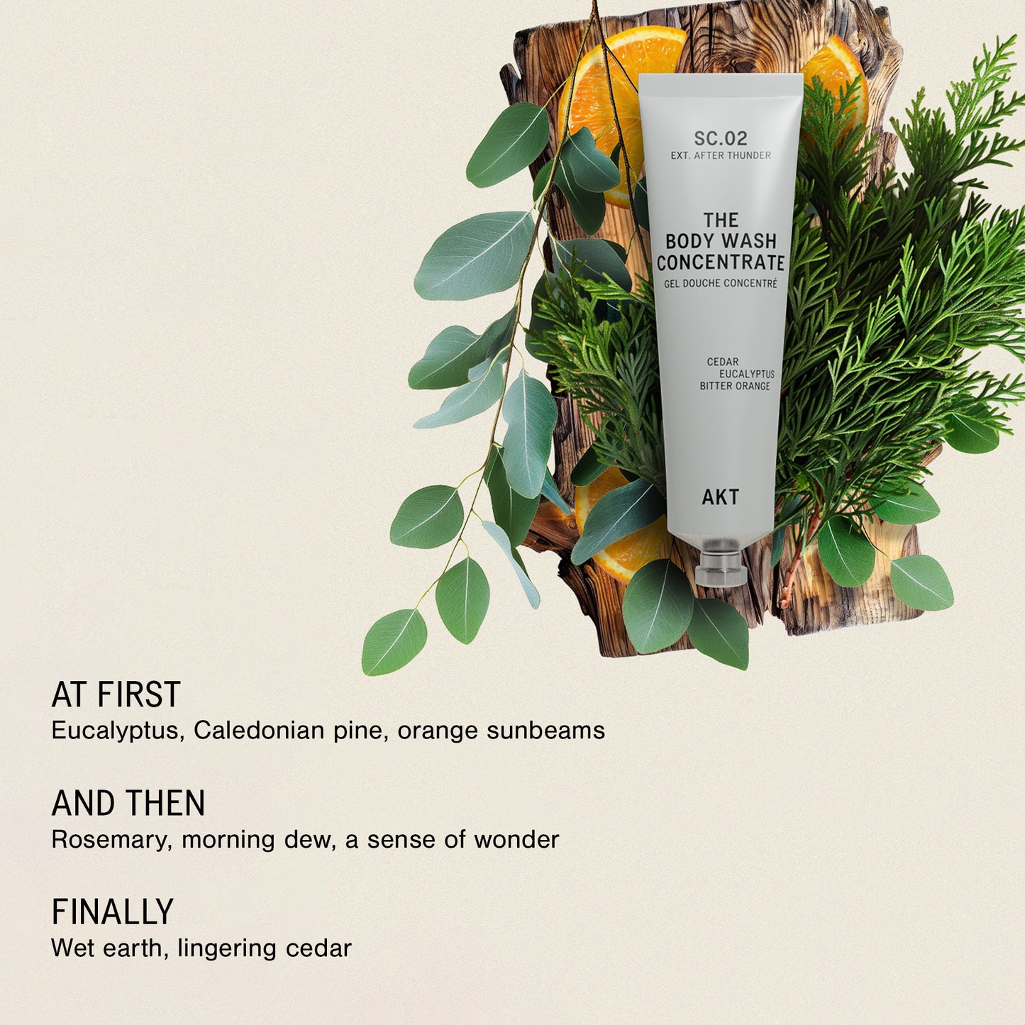 The Body Wash Concentrate - SC.02 After Thunder - NEW